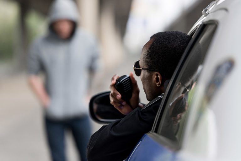 Types of Theft Charges